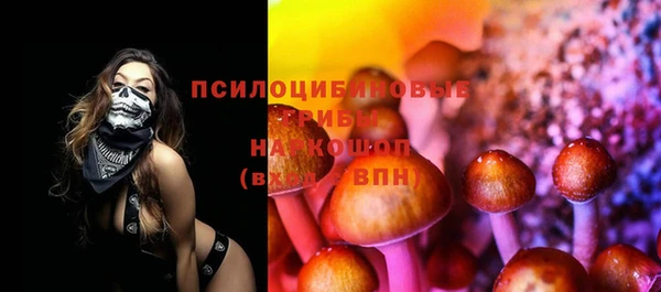 MDMA Белокуриха