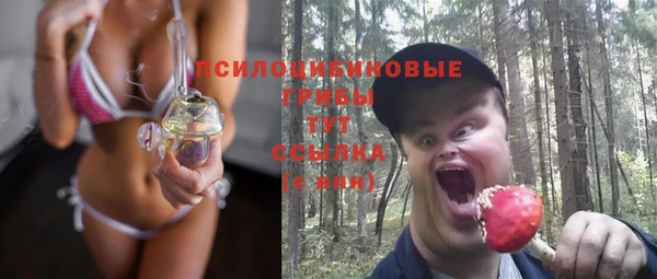 гидра Покачи