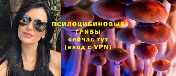 мдпв Покровск
